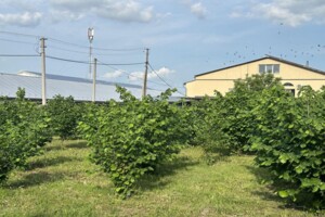 Аренда участков