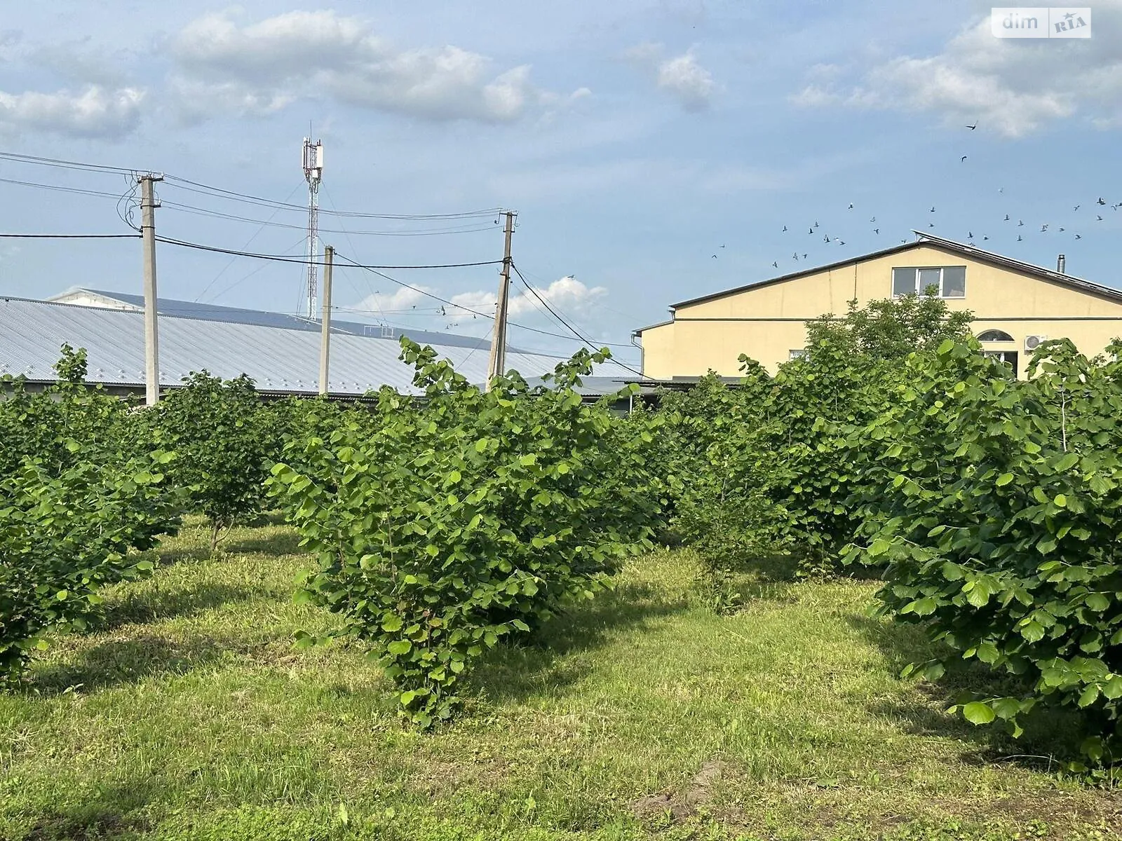 Чистилов, цена: 500 грн - фото 1