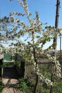 Аренда участков