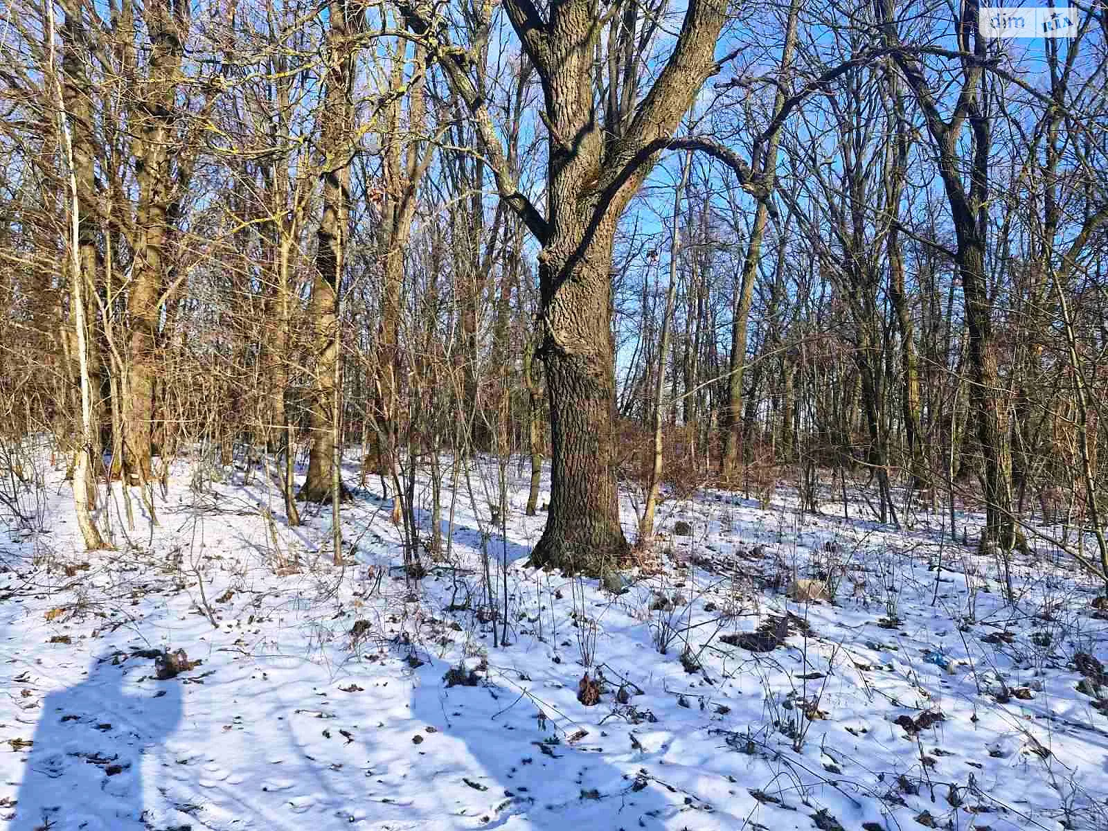 Продається земельна ділянка 8 соток у Житомирській області, цена: 5700 $ - фото 1