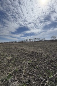Продаж ділянки під житлову забудову, Хмельницька, Лісові Гринівці, Центральна вулиця