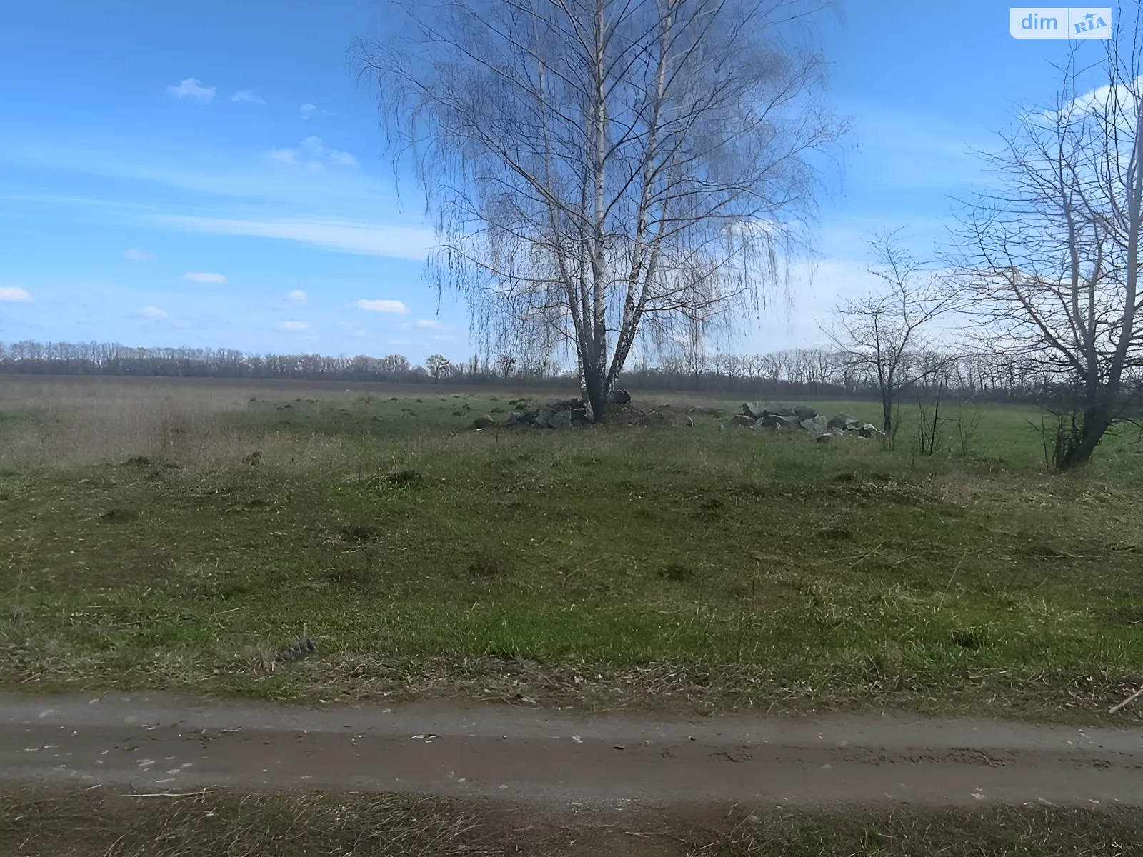 Продается земельный участок 25 соток в Винницкой области, цена: 10000 $ - фото 1