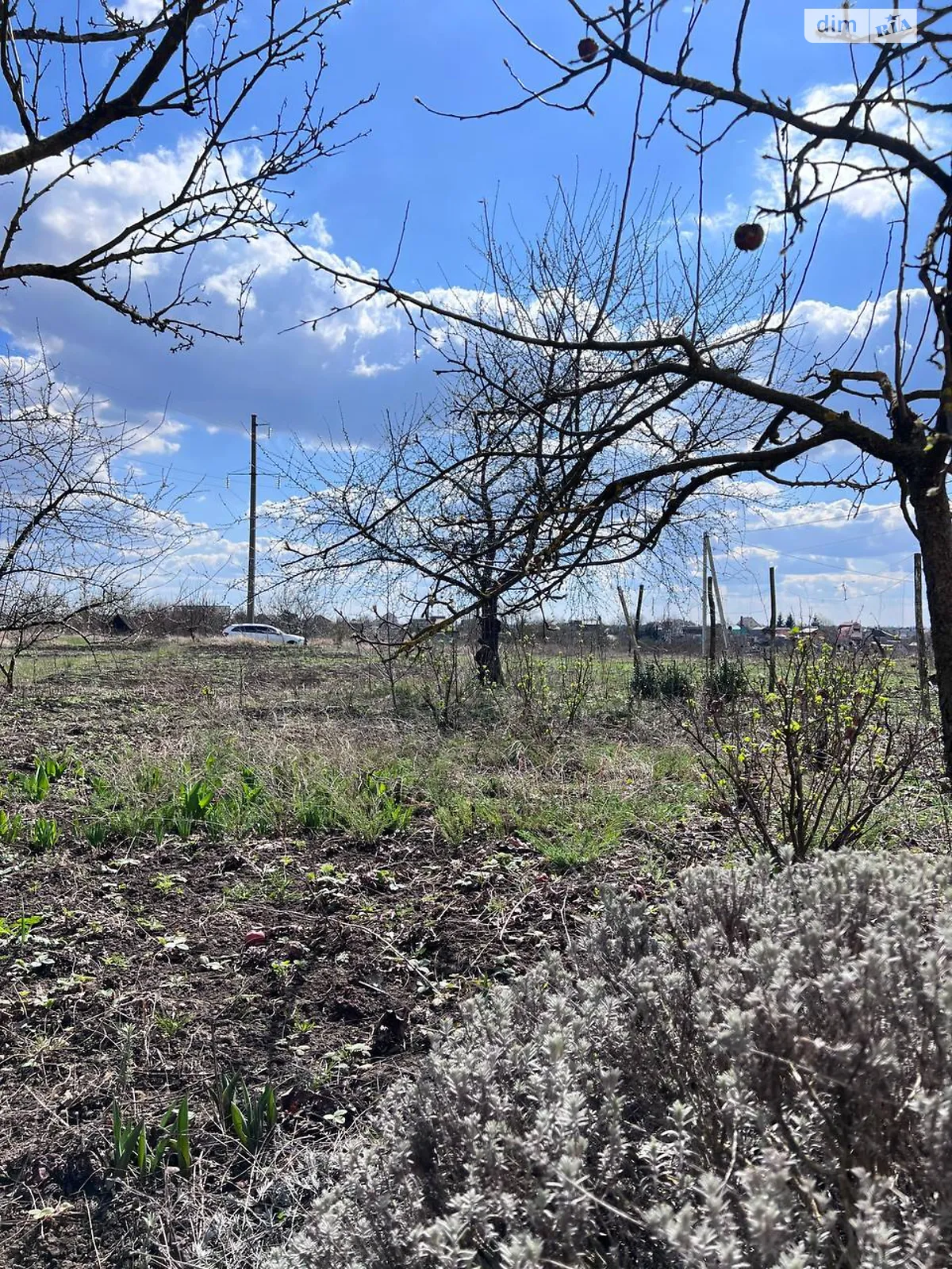 Продається одноповерховий будинок 10 кв. м з садом, цена: 9500 $ - фото 1