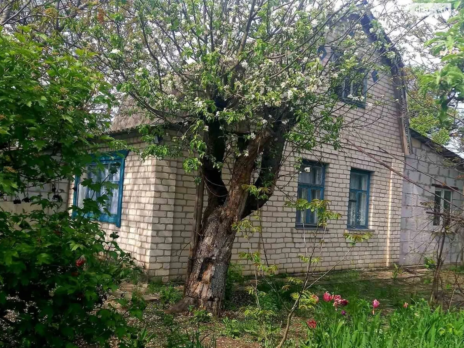 вул. Сонячна Пинчуки, цена: 17000 $ - фото 1