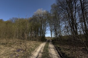 Продаж землі сільськогосподарського призначення, Вінницька, Парпурівці