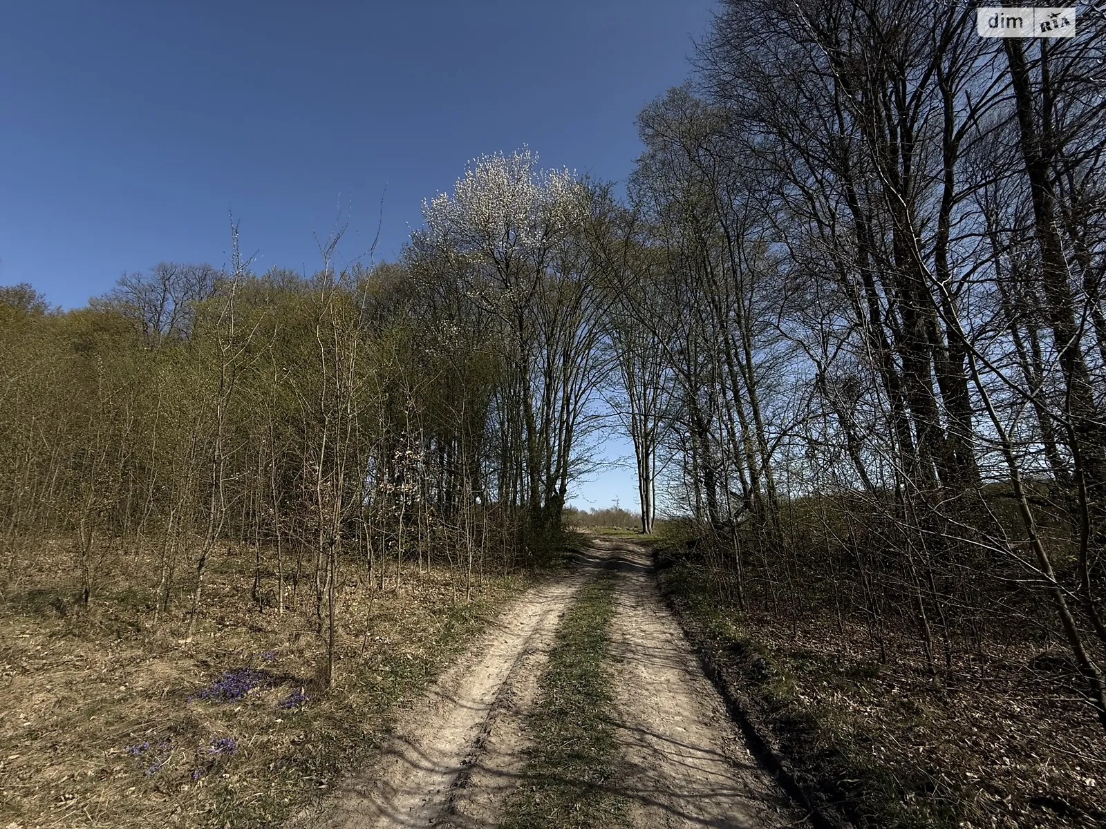 Парпуровцы, цена: 35000 $ - фото 1