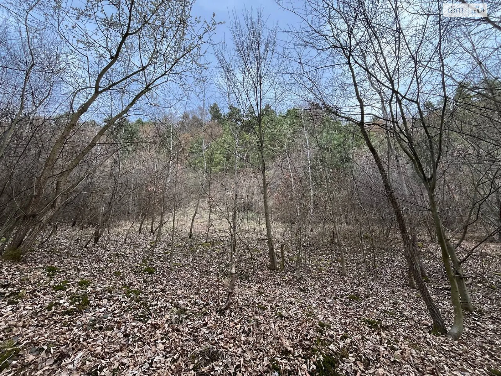 Брюховичи (Львов), цена: 14000 $ - фото 1