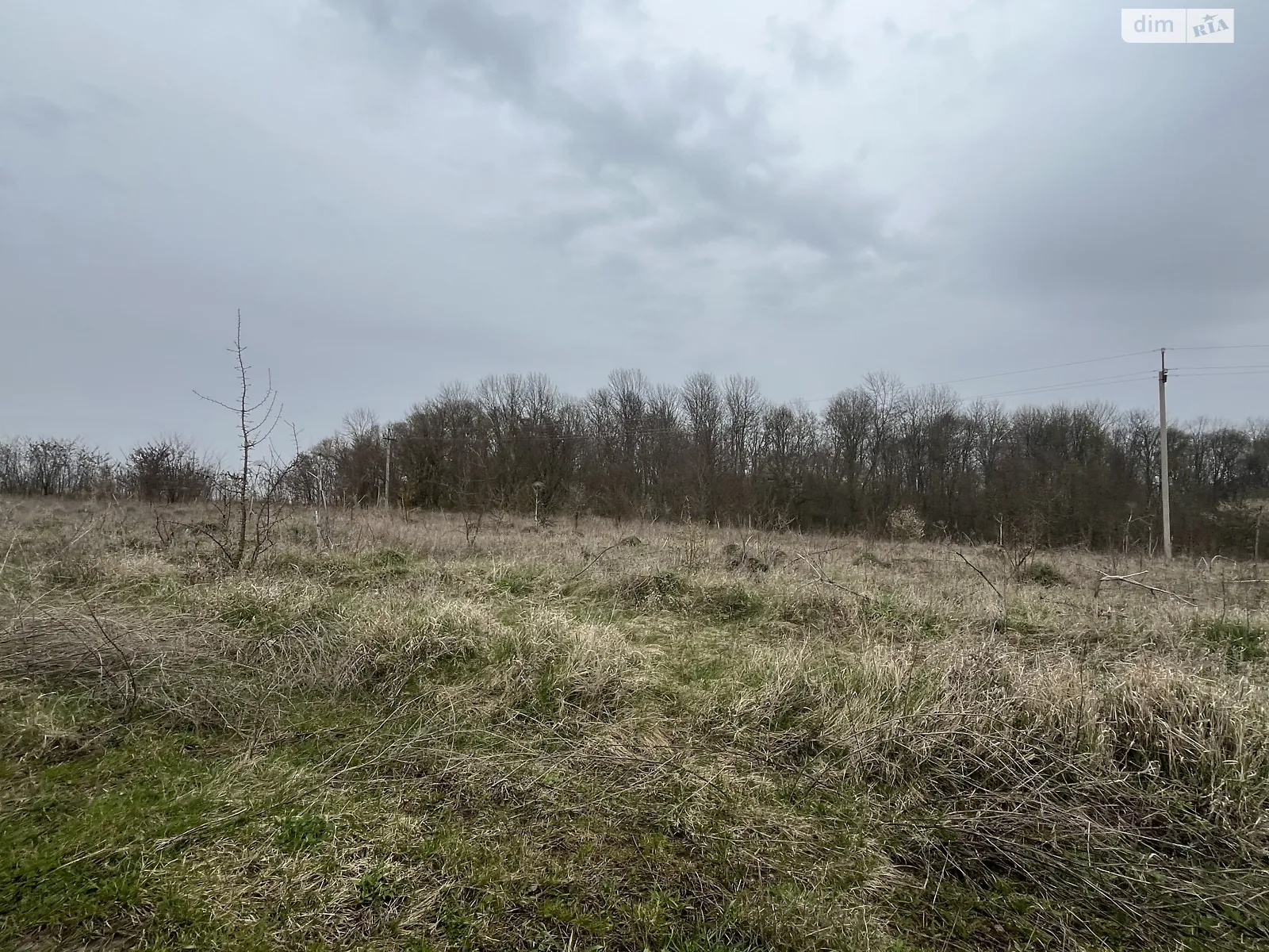 Продается земельный участок 10 соток в Хмельницкой области, цена: 7700 $ - фото 1