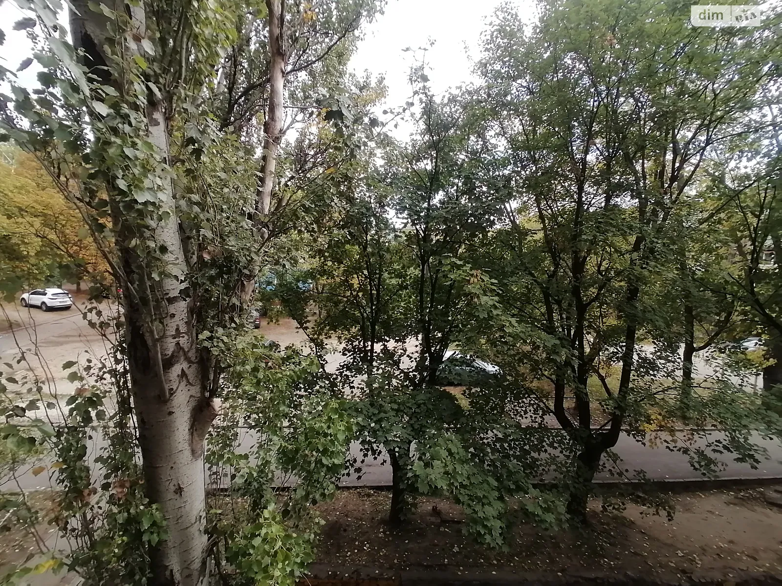 1-комнатная квартира 22 кв. м в Запорожье, ул. Победы, 95А - фото 1