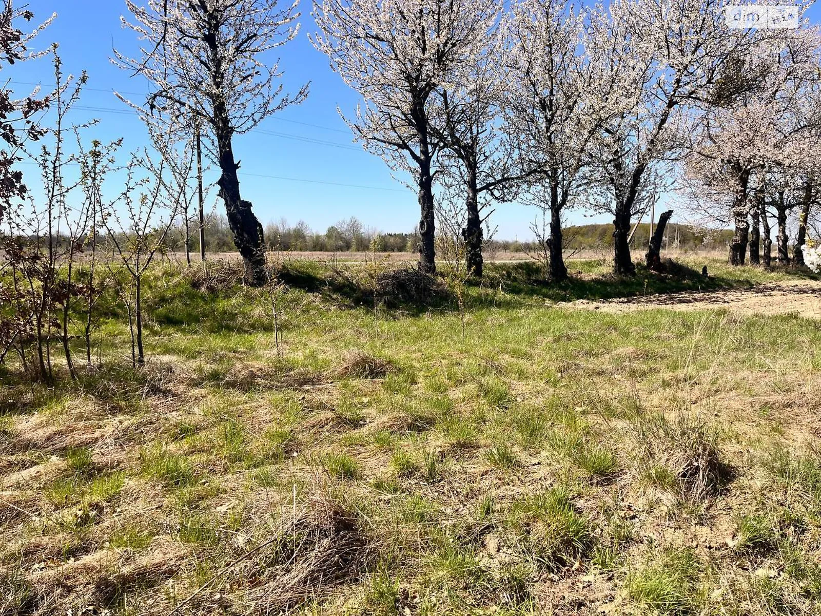 Продається земельна ділянка 25 соток у Вінницькій області, цена: 10000 $ - фото 1