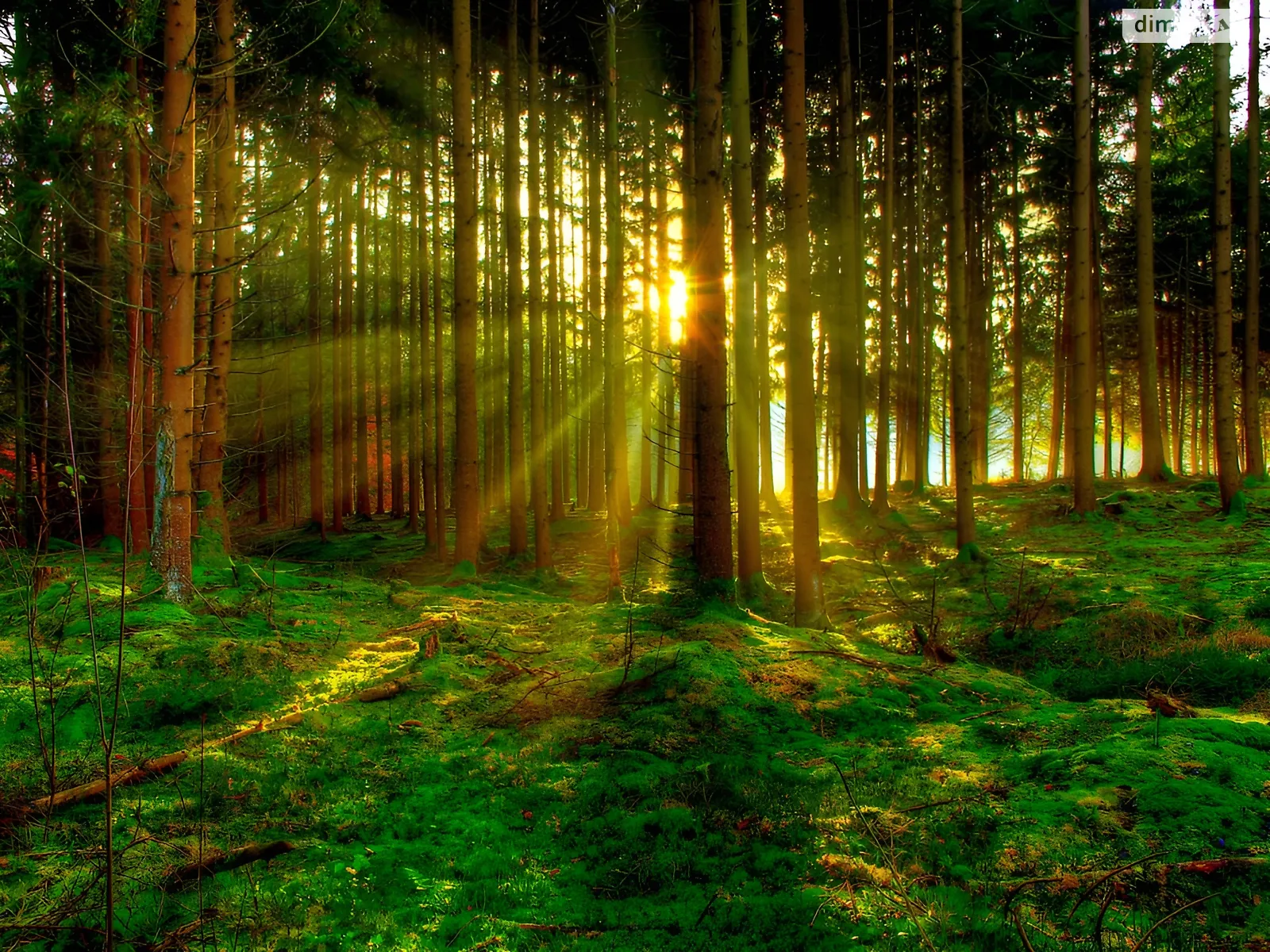 Продається земельна ділянка 31.83 соток у Вінницькій області, цена: 37200 $ - фото 1