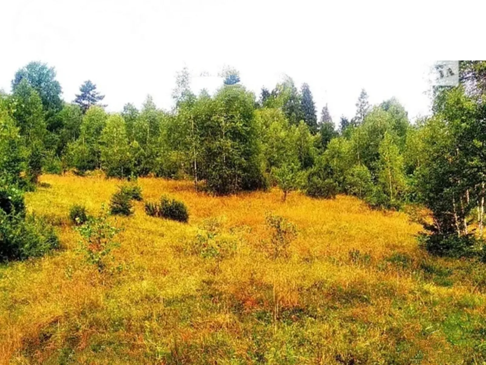 Либохора (Сколе), цена: 75000 $ - фото 1
