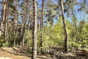 Продажа участка под жилую застройку, Киев, р‑н. Быковня, ст.м. Лесная, Садовый Жуляны