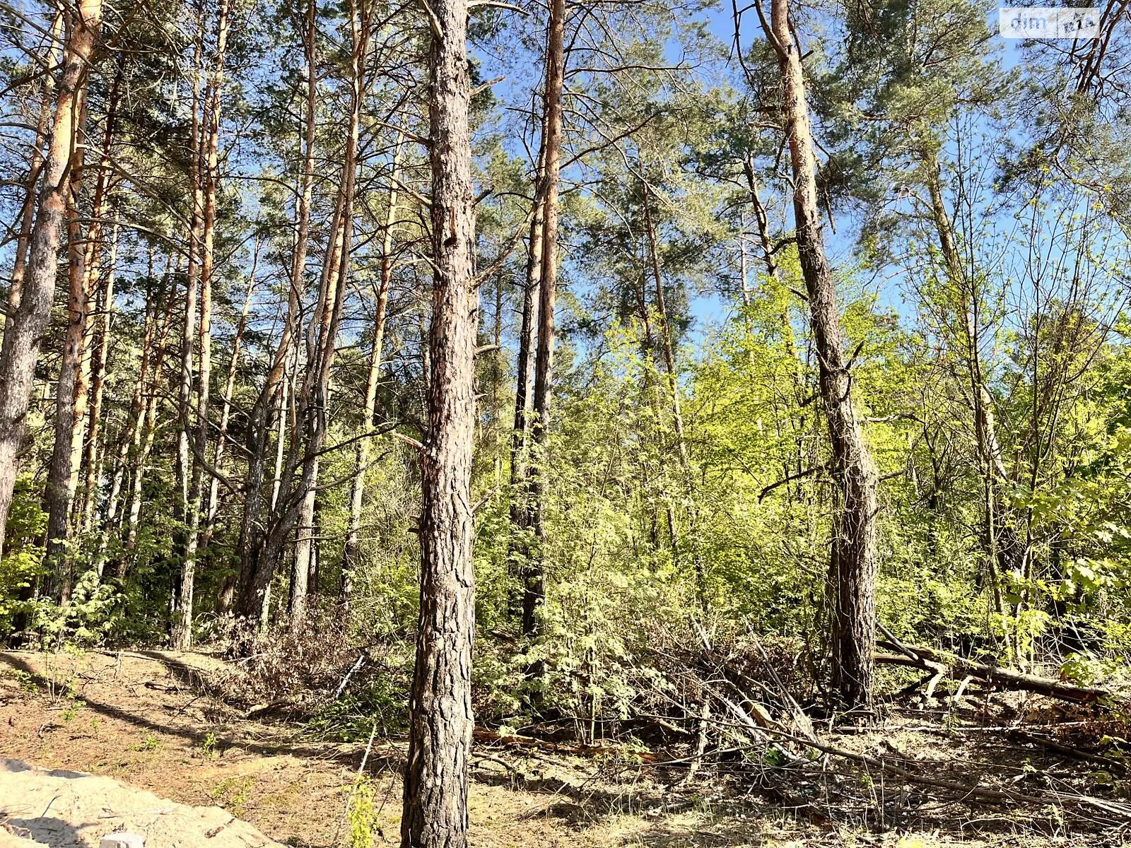 Садовый Жуляны Биківня Київ, цена: 55000 $ - фото 1