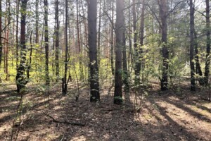 Продажа участка под жилую застройку, Киев, р‑н. Быковня, ст.м. Лесная, Садовая ул., Деснянский