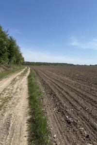 Продажа земли сельскохозяйственного назначения, Винницкая, Весёлая