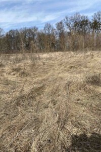 Продажа участка под жилую застройку, Винницкая, Ксаверовка