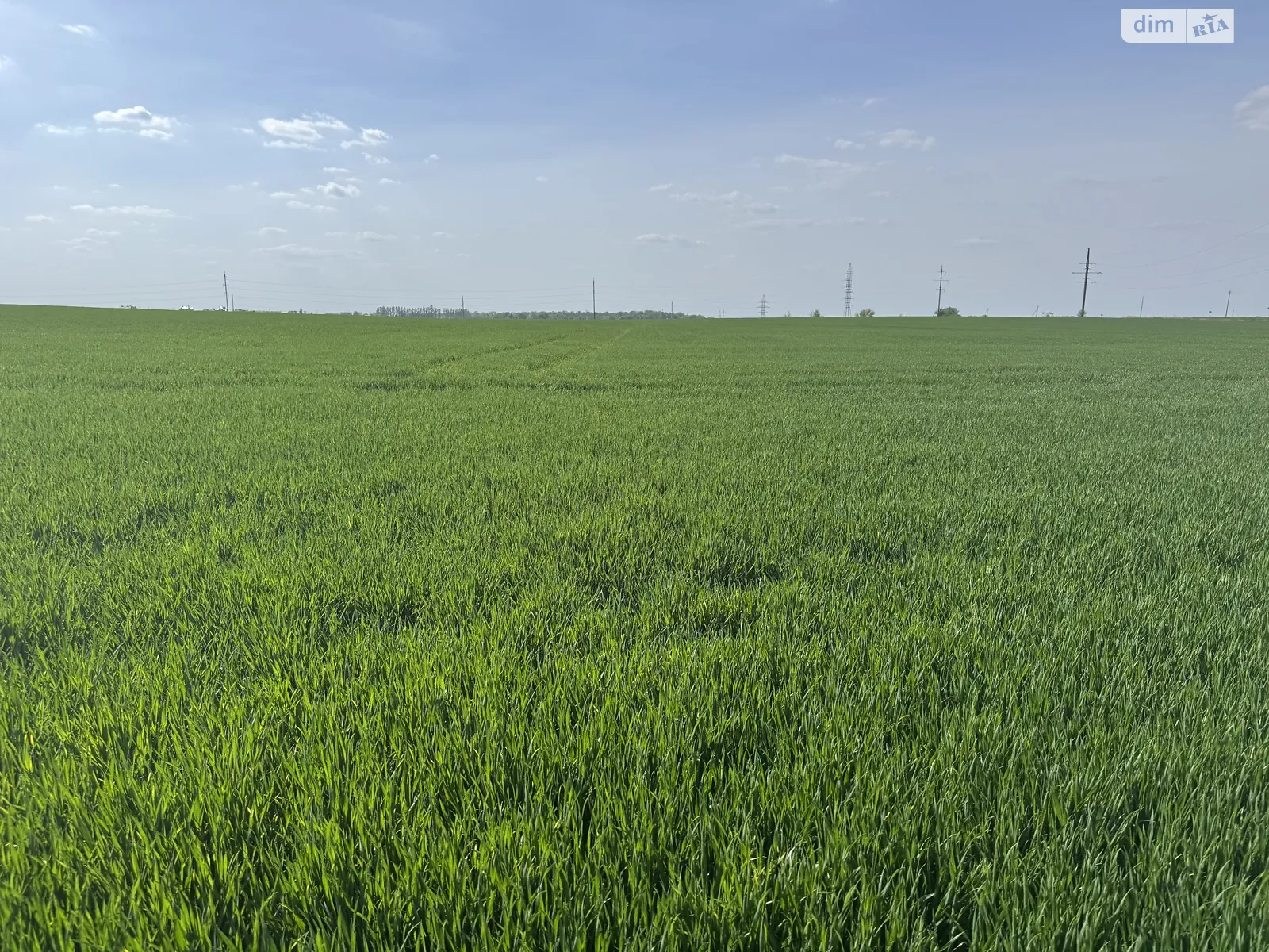 Біла (Тернопіль), цена: 350000 $ - фото 1