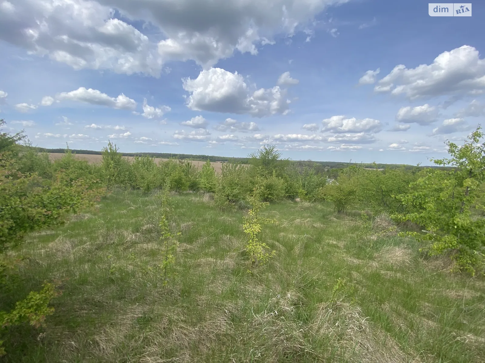 вул. Г. Багабунта Зарванці, цена: 13000 $ - фото 1