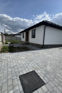 Продаж будинку, Вінницька, Агрономічне, Шевченка вулиця