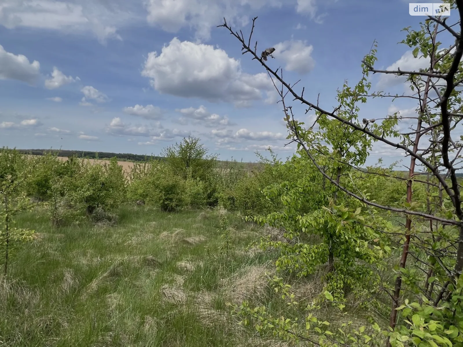 Продається земельна ділянка 10 соток у Вінницькій області, цена: 9200 $ - фото 1