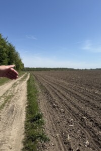 Продажа земли сельскохозяйственного назначения, Винница