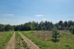 Продаж землі сільськогосподарського призначення, Рівненська, Городище (Рівне)
