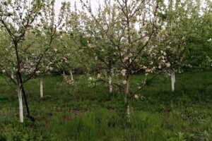 Продаж ділянки під житлову забудову, Вінниця, р‑н. Тяжилів, Стадницька вулиця