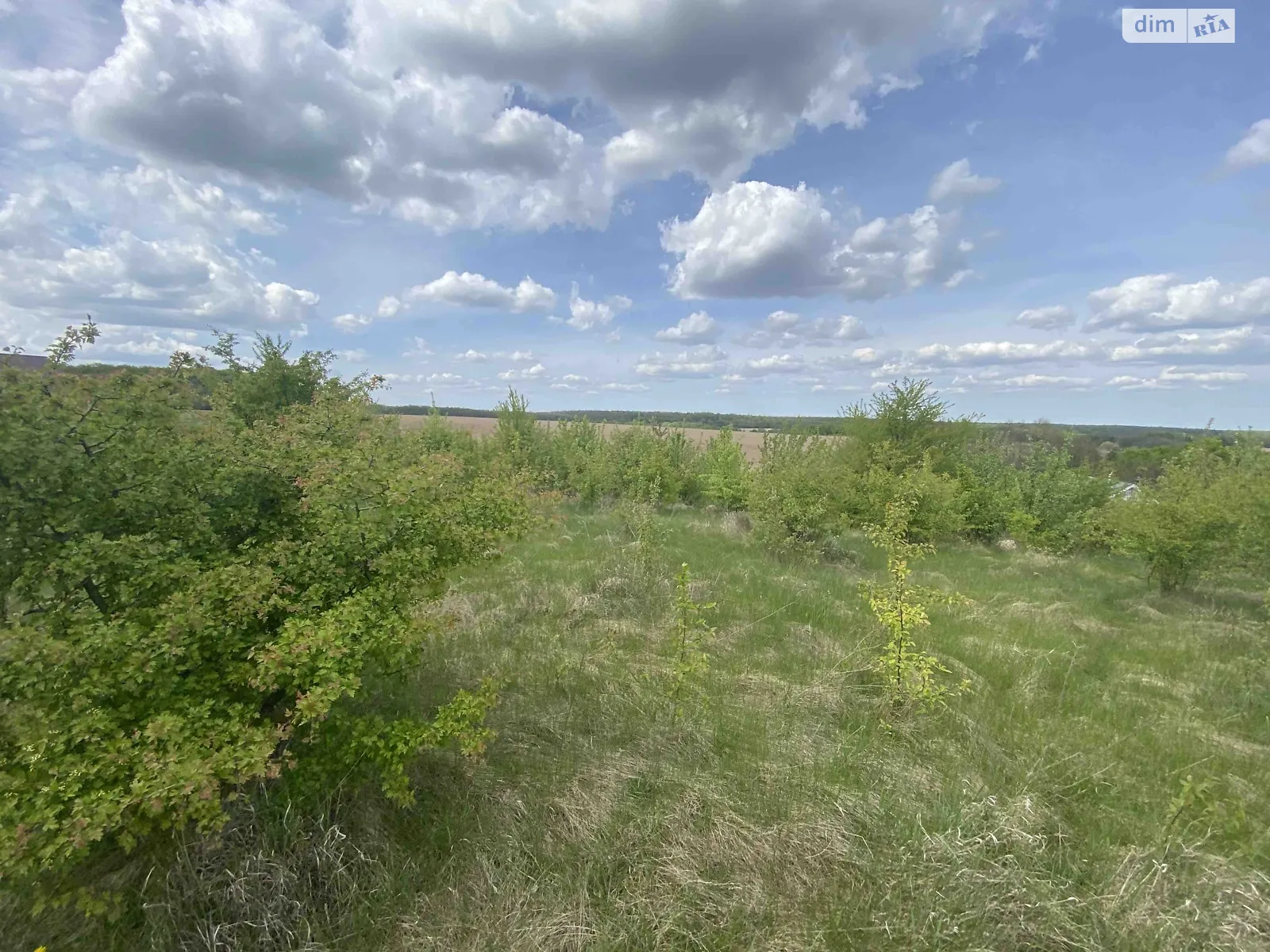 ул. Г. Багабунта Зарванцы, цена: 13000 $ - фото 1
