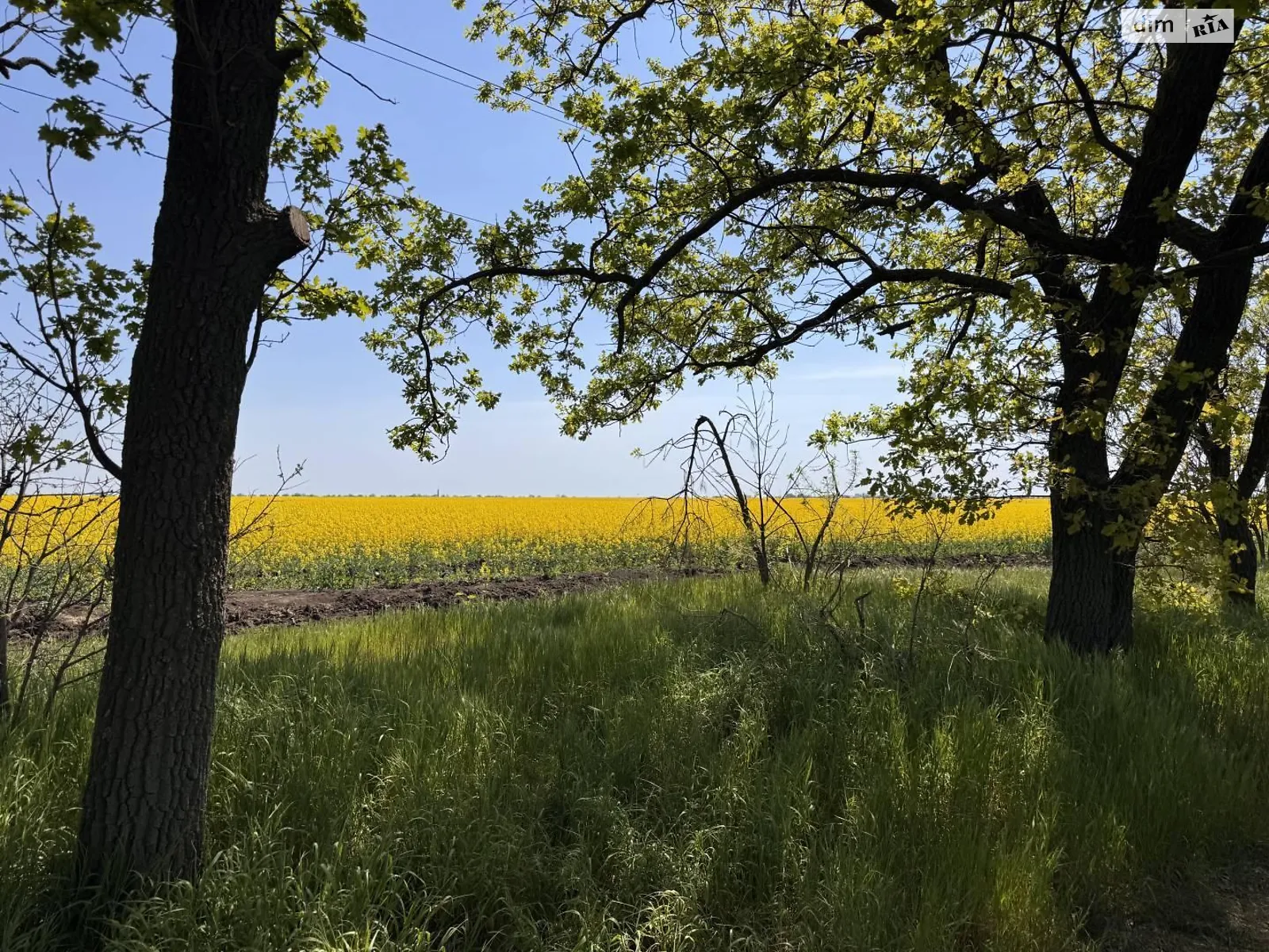 вулиця Дачна Александровка (Овидиополь), цена: 4000 $ - фото 1