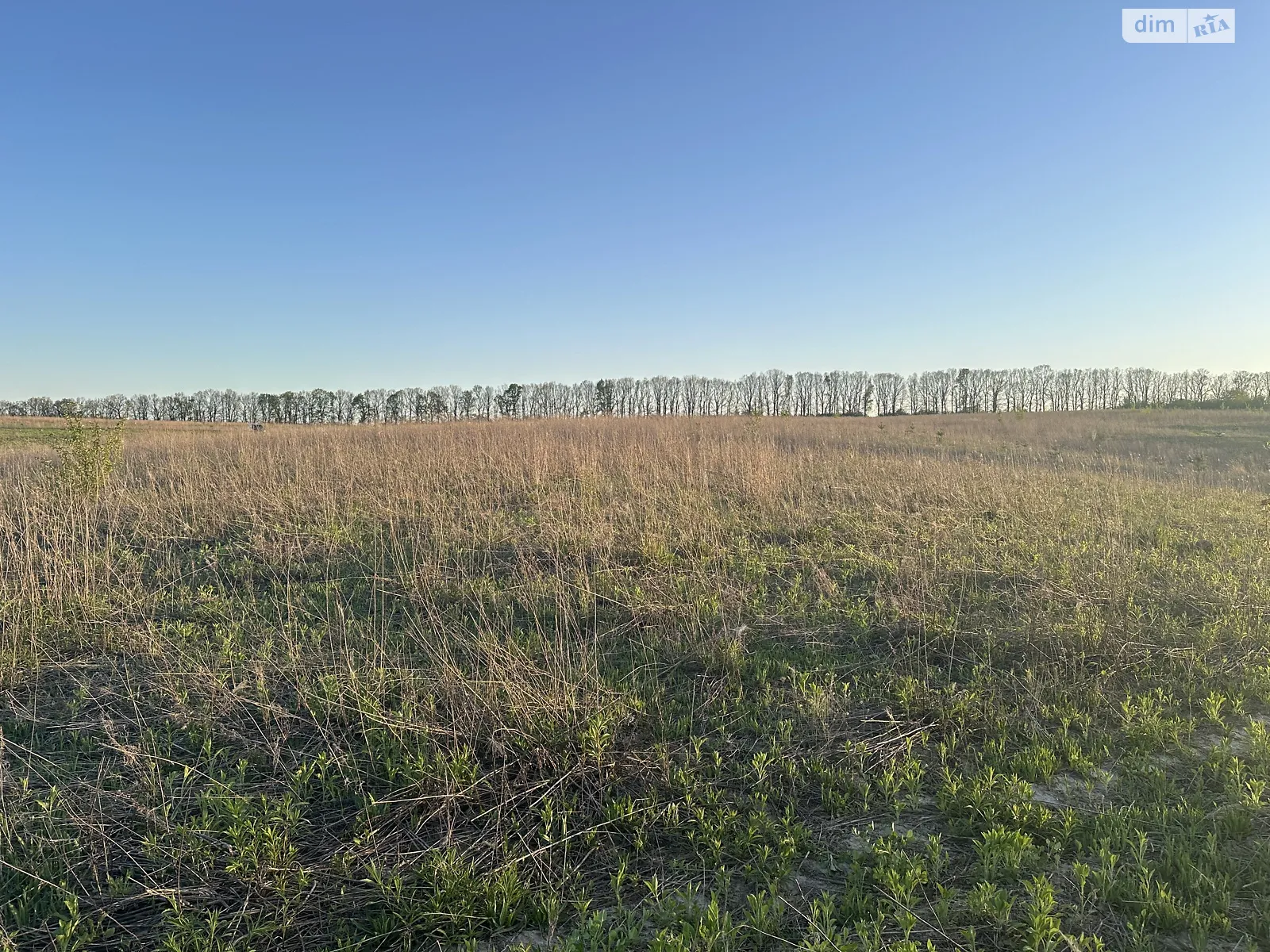 Продається земельна ділянка 6 соток у Вінницькій області, цена: 14000 $ - фото 1