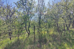 Продажа земли сельскохозяйственного назначения, Львовская, Борки