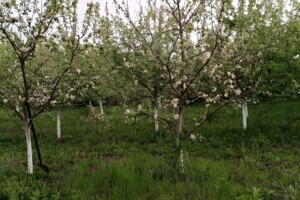Продажа участка под жилую застройку, Винница, р‑н. Тяжилов, Стадницкая улица