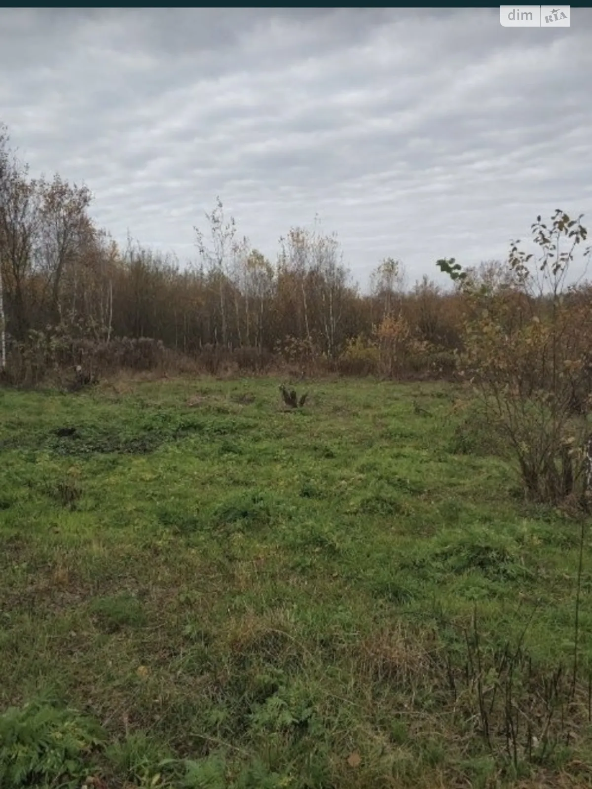 Липники (Львів), цена: 33350 $ - фото 1