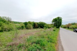 Продажа земли сельскохозяйственного назначения, Хмельницкая, Давыдковцы, центральній дорозі