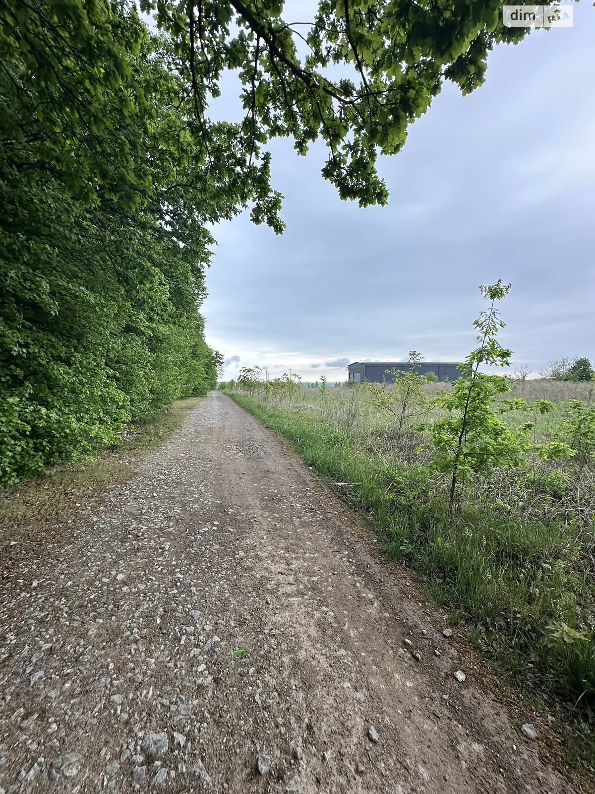 вул. Кармелюка Зарванці, цена: 22000 $ - фото 1