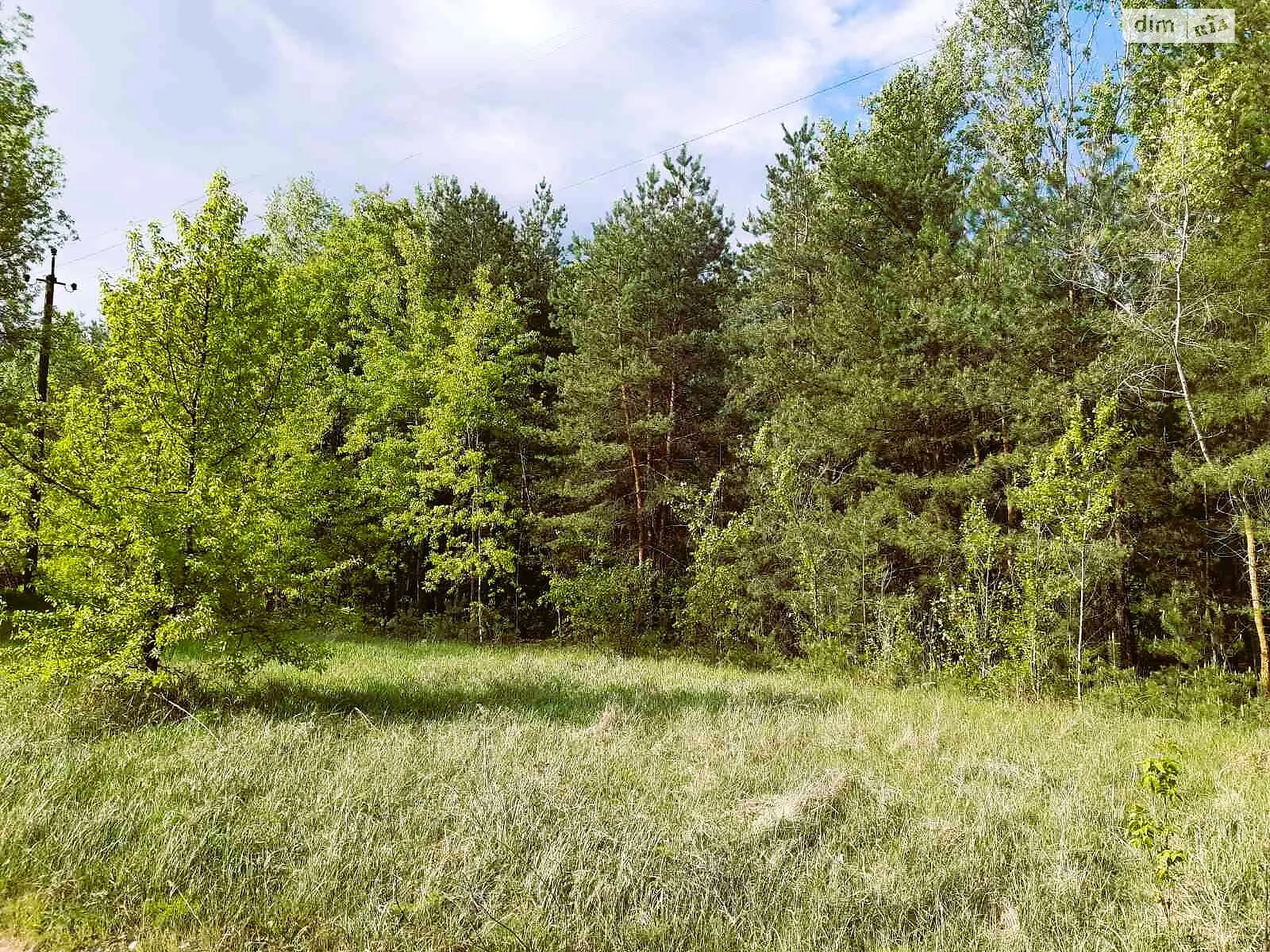 Продается земельный участок 27.1 соток в Полтавской области, цена: 13000 $ - фото 1