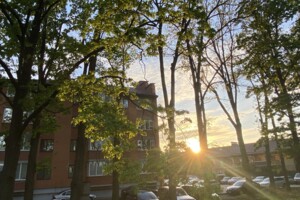 Продажа квартиры, Винницкая, Агрономичное, Центральная (Мичурина) улица, дом 45