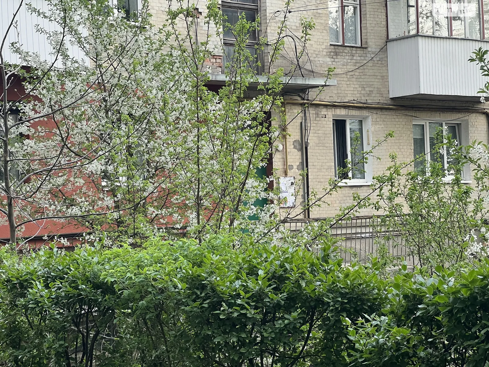 2-кімнатна квартира 42.2 кв. м у Луцьку, просп. Волі, 62 - фото 1