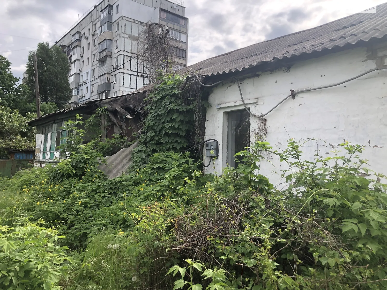 Продается одноэтажный дом 79.9 кв. м с подвалом, цена: 14000 $ - фото 1