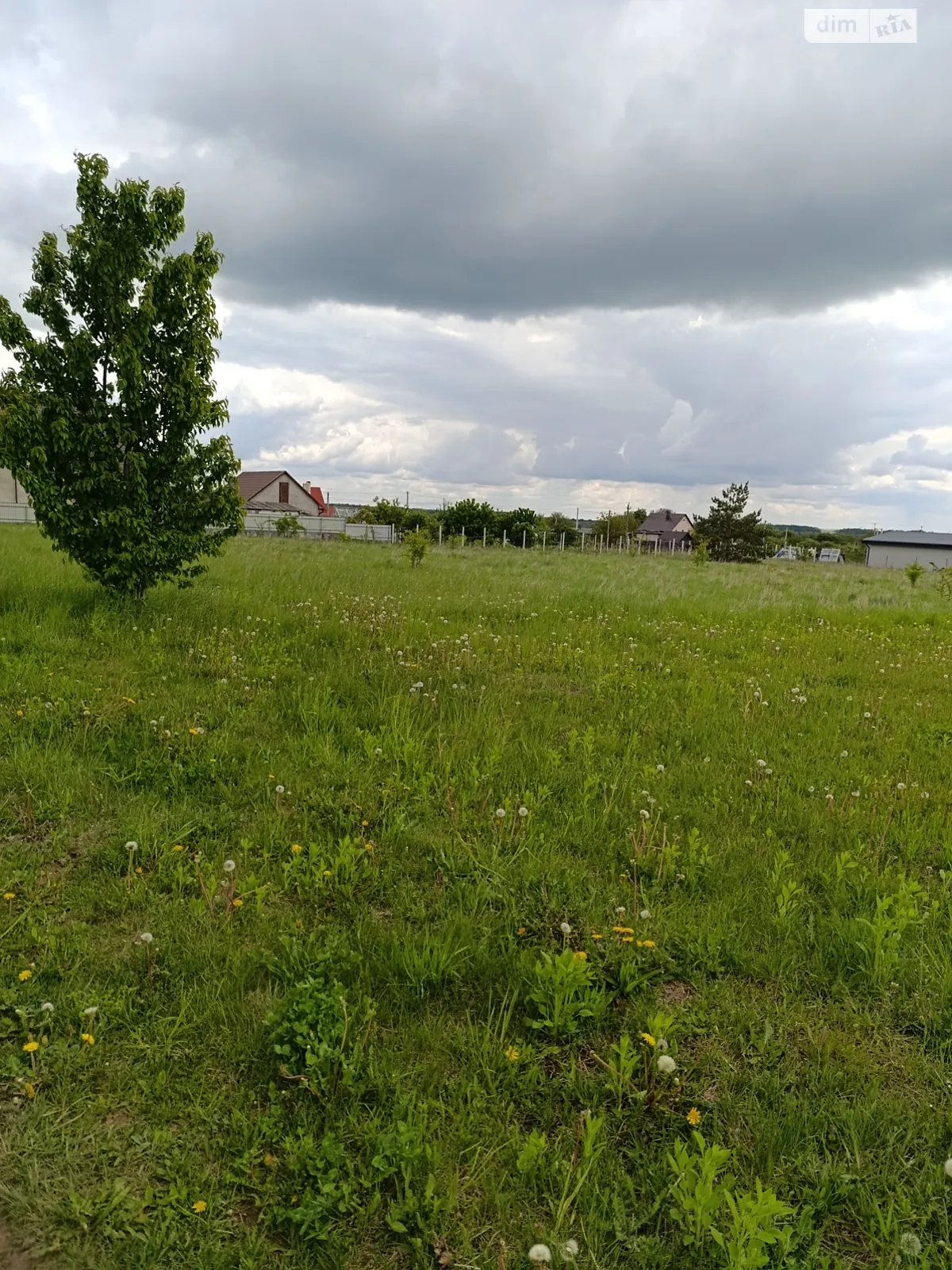 Продается земельный участок 20 соток в Винницкой области, цена: 17000 $ - фото 1