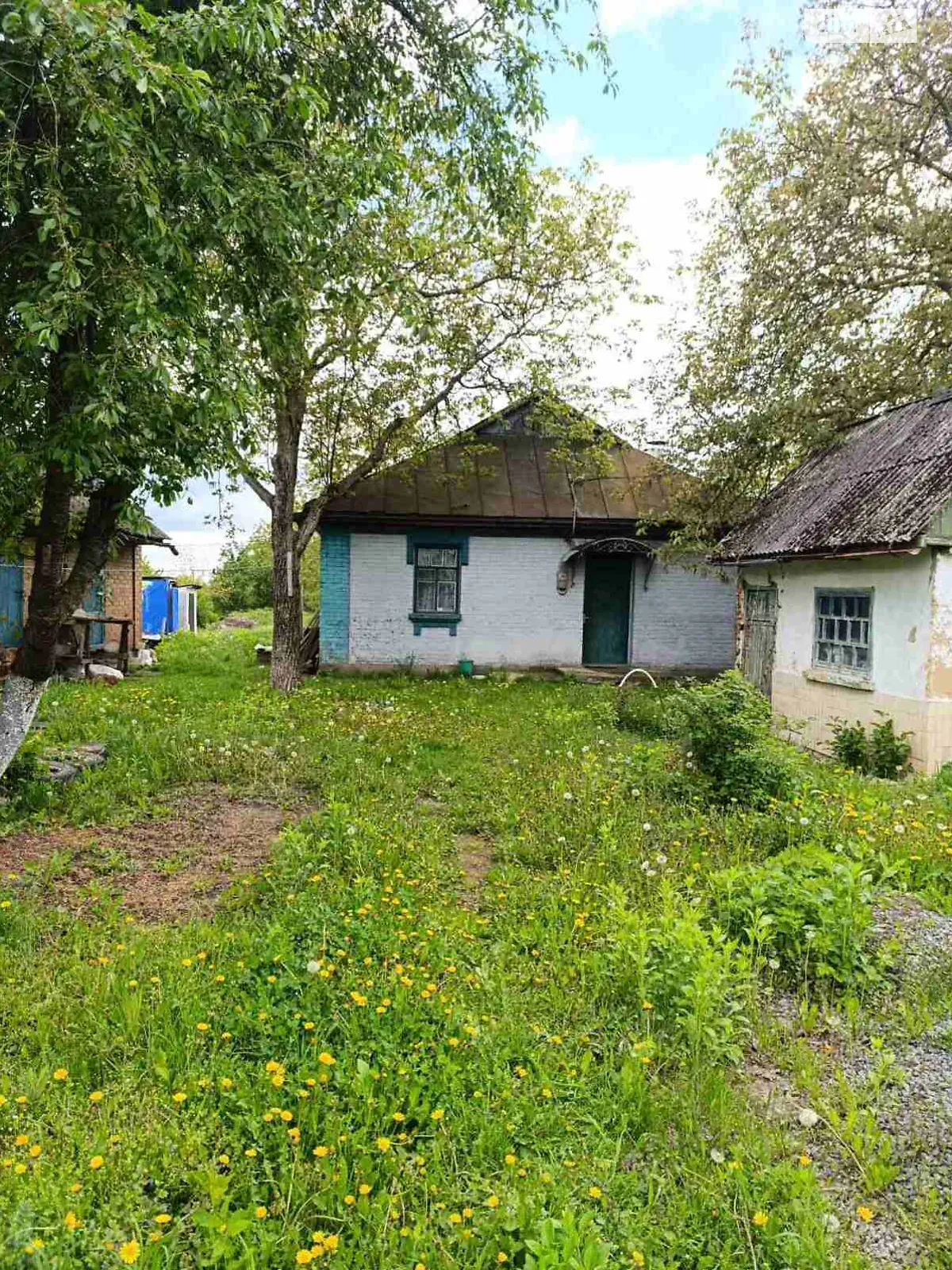 Продается одноэтажный дом 60 кв. м с бассейном, цена: 30000 $ - фото 1