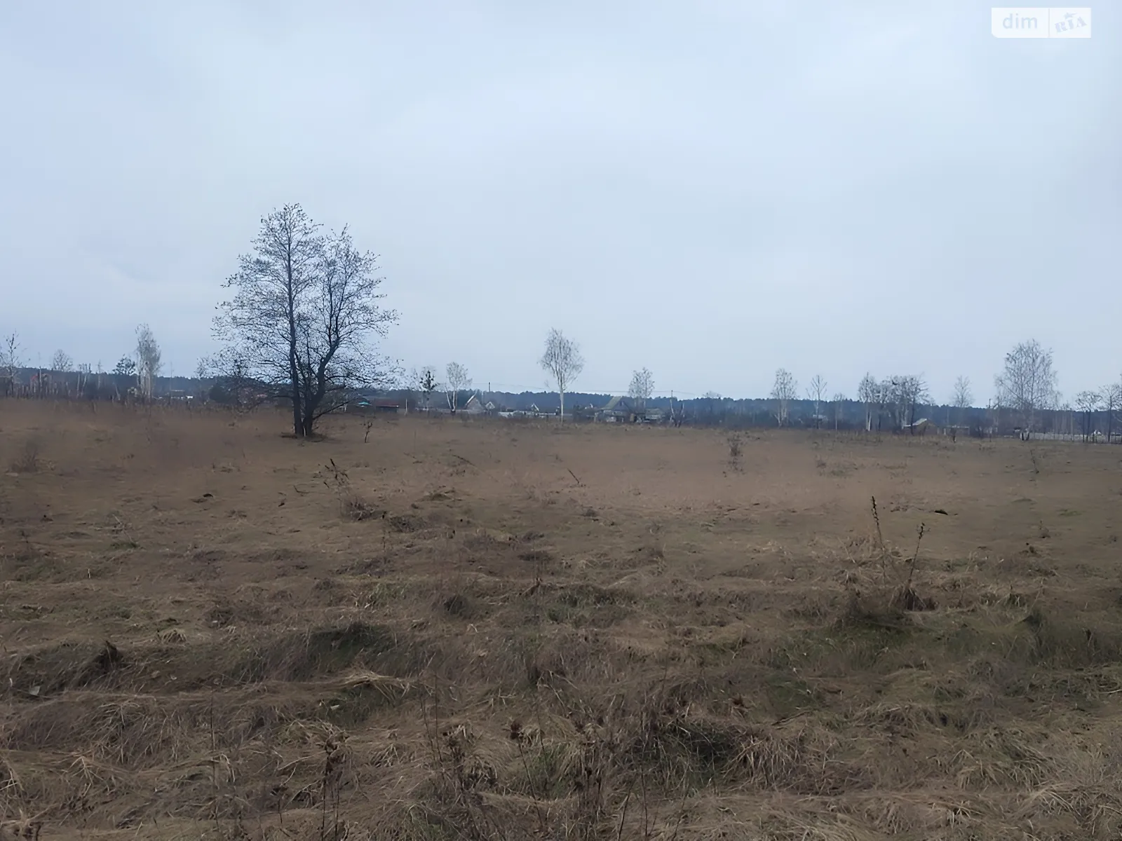 Сувид, цена: 4000 $ - фото 1