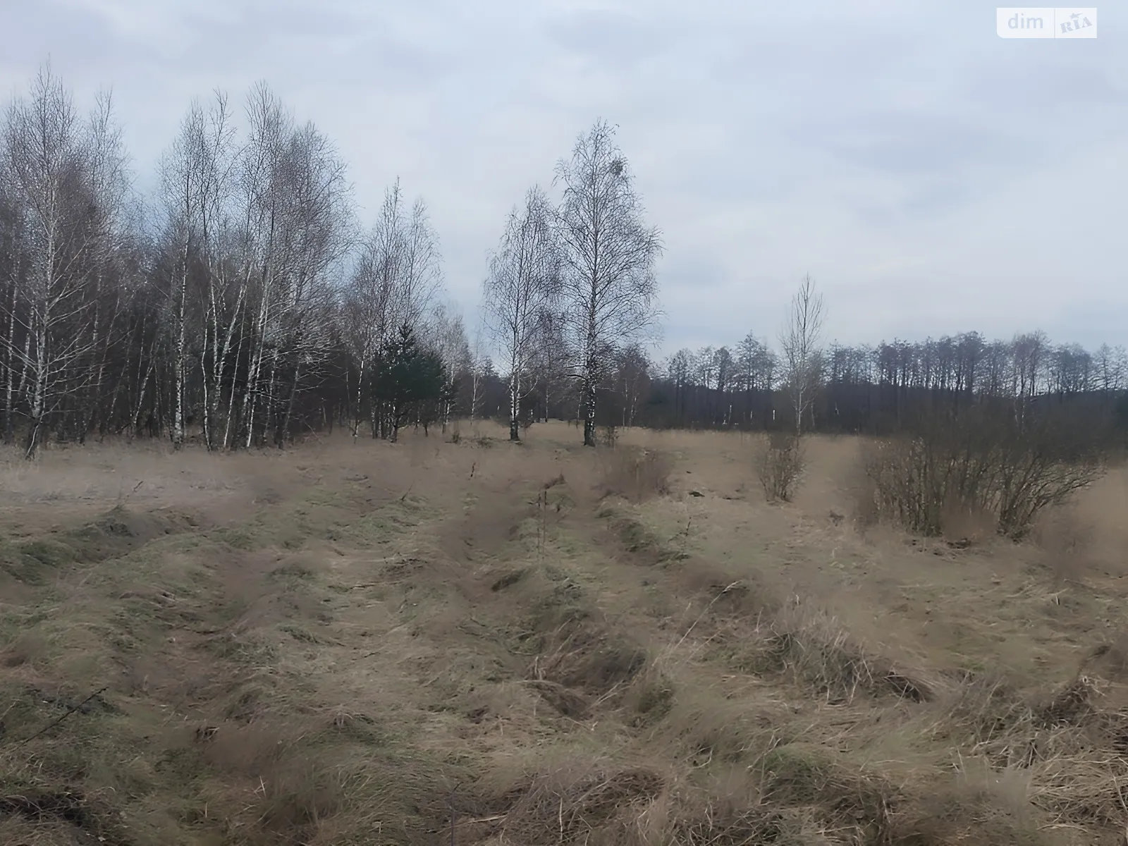 Продається земельна ділянка 12 соток у Київській області, цена: 4000 $ - фото 1