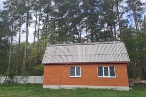 Продаж будинку, Вінницька, Павлівка (Калинівка), Лісова вулиця