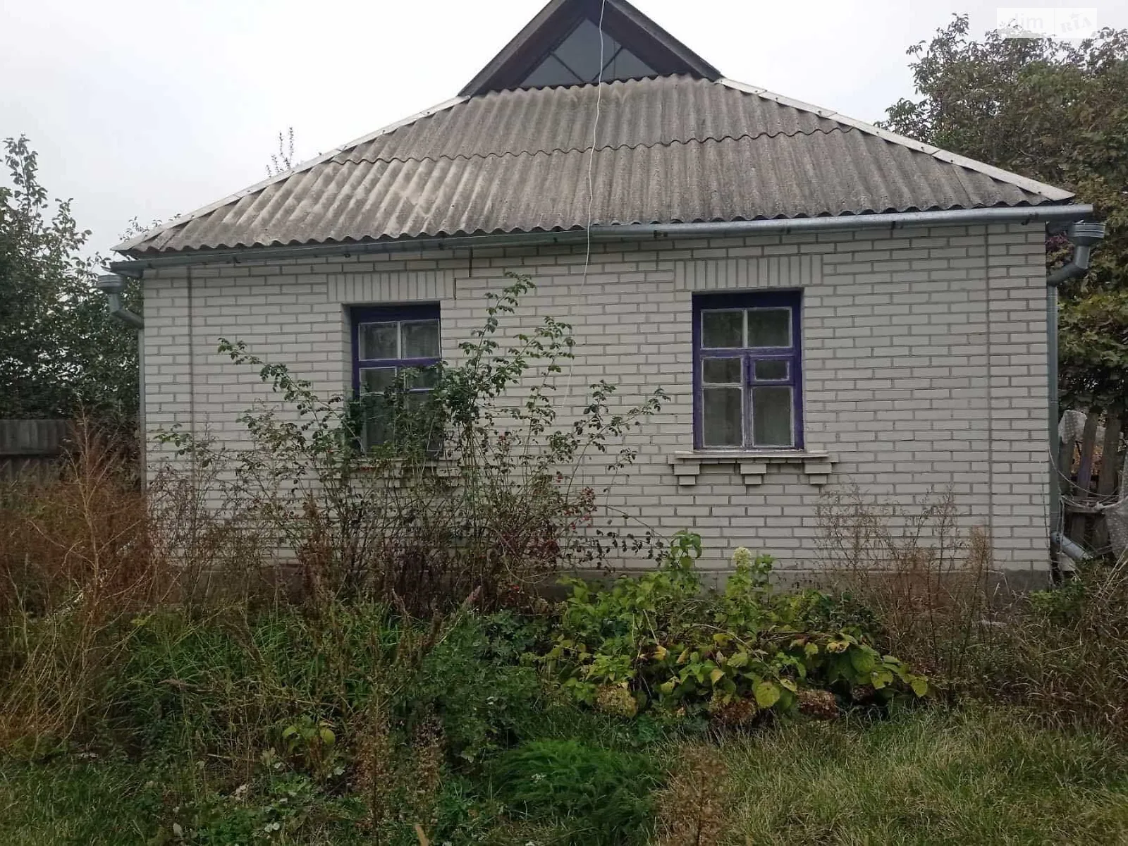 Продается одноэтажный дом 74.1 кв. м с подвалом, цена: 17000 $ - фото 1