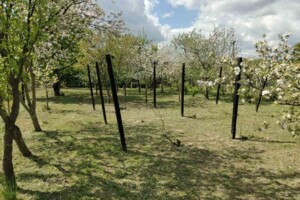 Продажа земли сельскохозяйственного назначения, Ивано-Франковская, Тязов