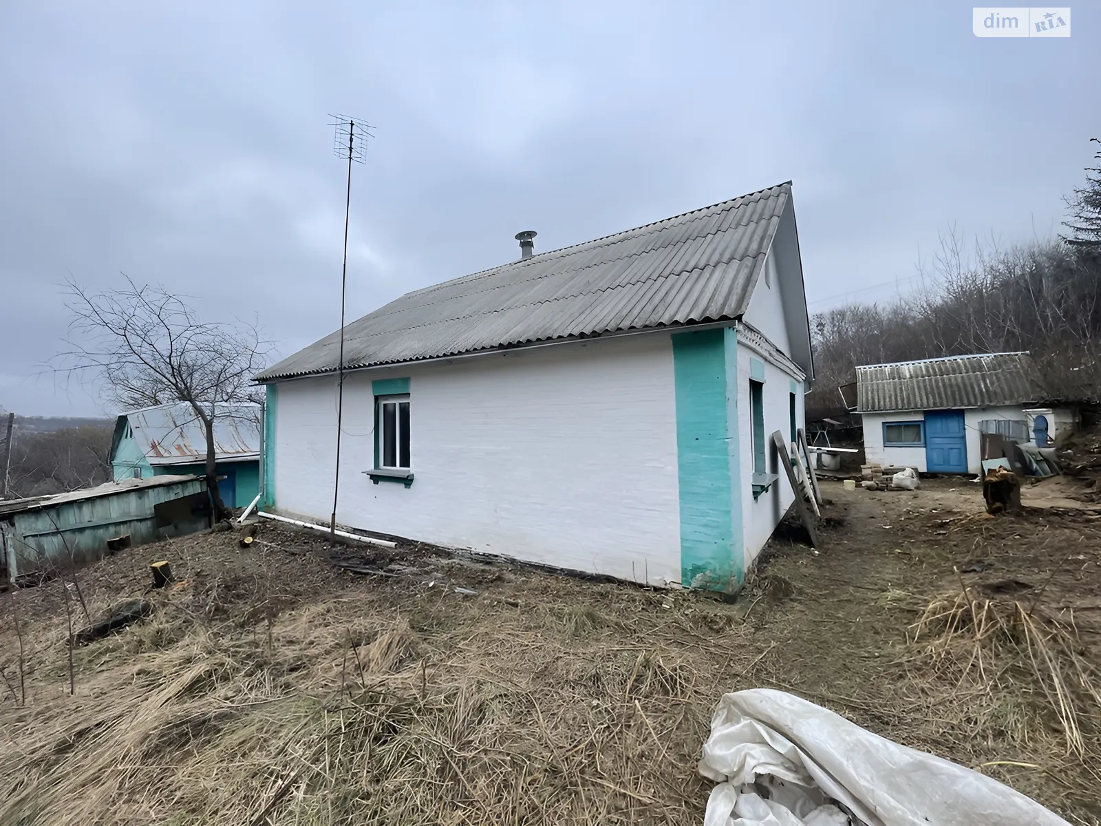 вул. Васильківська(Леніна) Мала Вільшанка (Обухів), цена: 29500 $ - фото 1