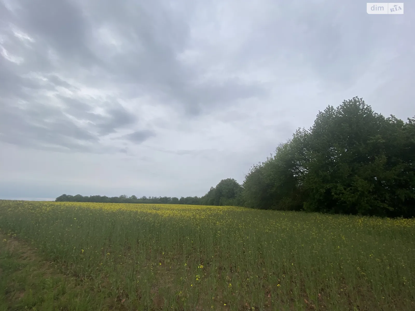 Черемошне (Тиврів), цена: 5000 $ - фото 1
