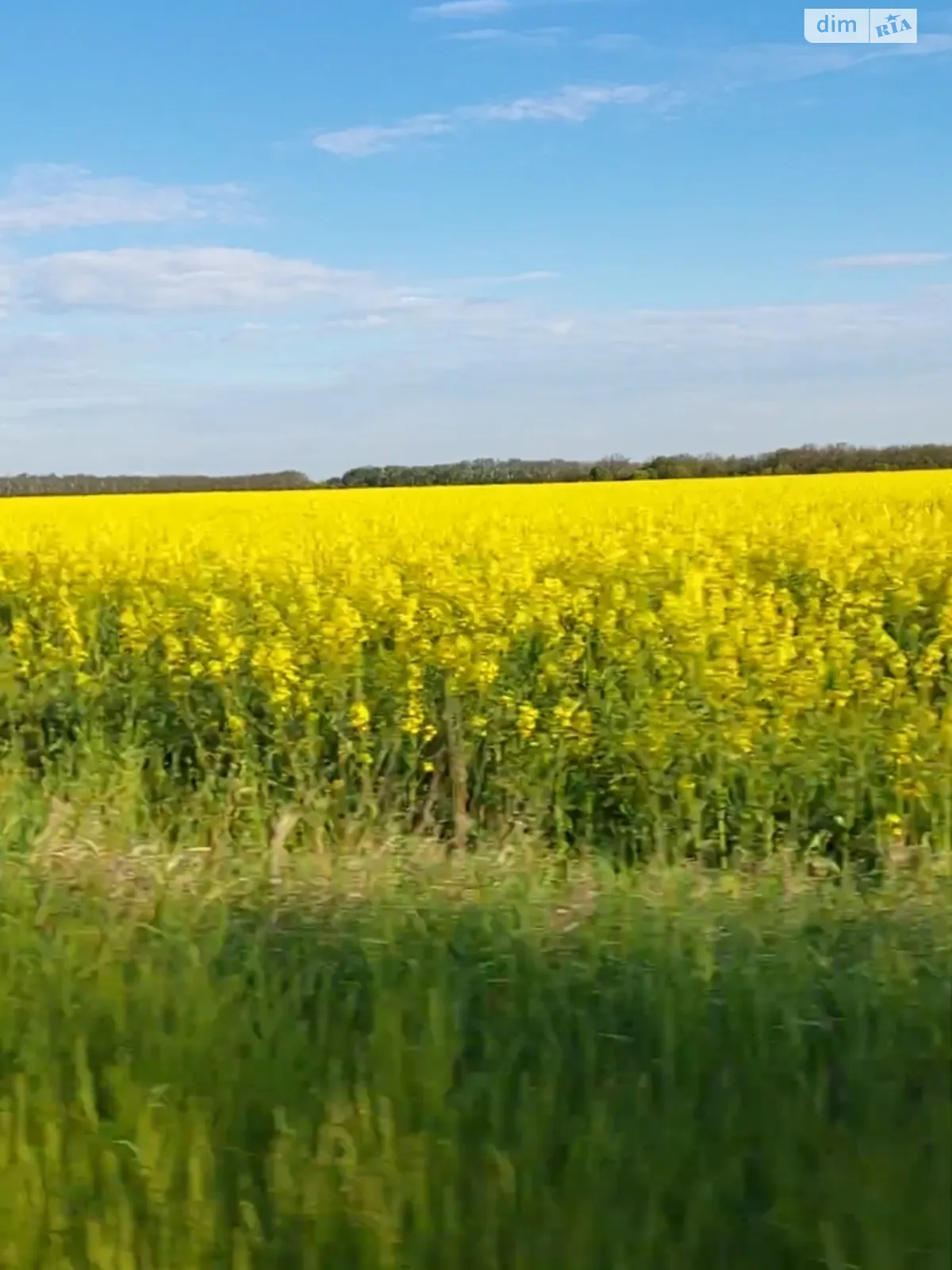 Продается земельный участок 0.25 соток в Днепропетровской области, цена: 4000 $ - фото 1